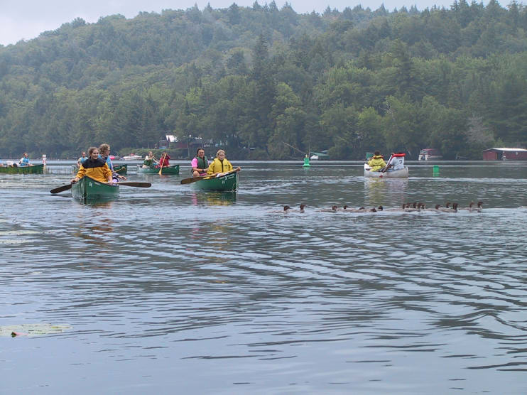 Group of Canoeists Headed into Lower Fish Creek Pond from Upper Saranac